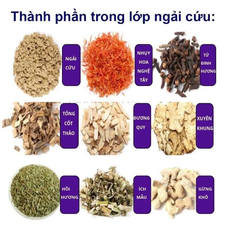 Các thành phần dược liệu quý bên trong sản phẩm